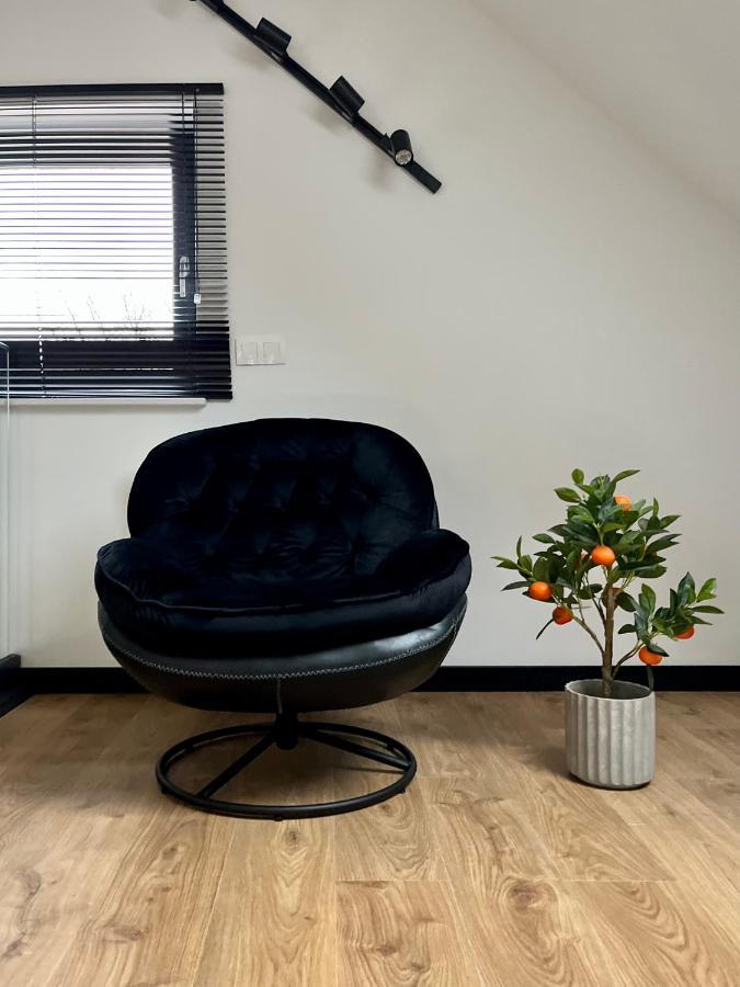 Apartamenty Maxa Czornyja Jelenia Góra Extérieur photo